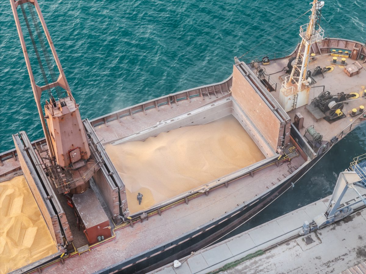 Grain being loaded into the hold of a bulk cargo ship